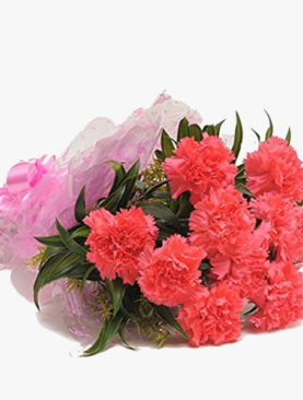 Dazzling Carnations