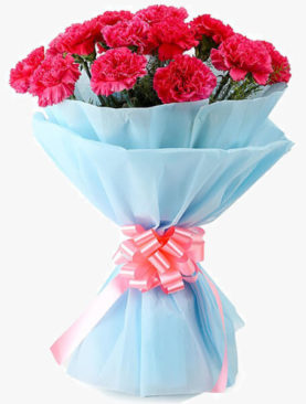 Sweet Carnations