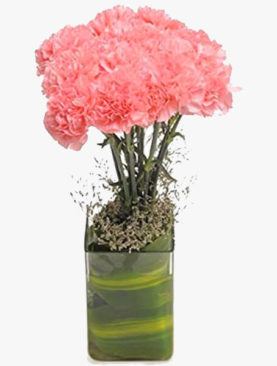 Smiling Carnations
